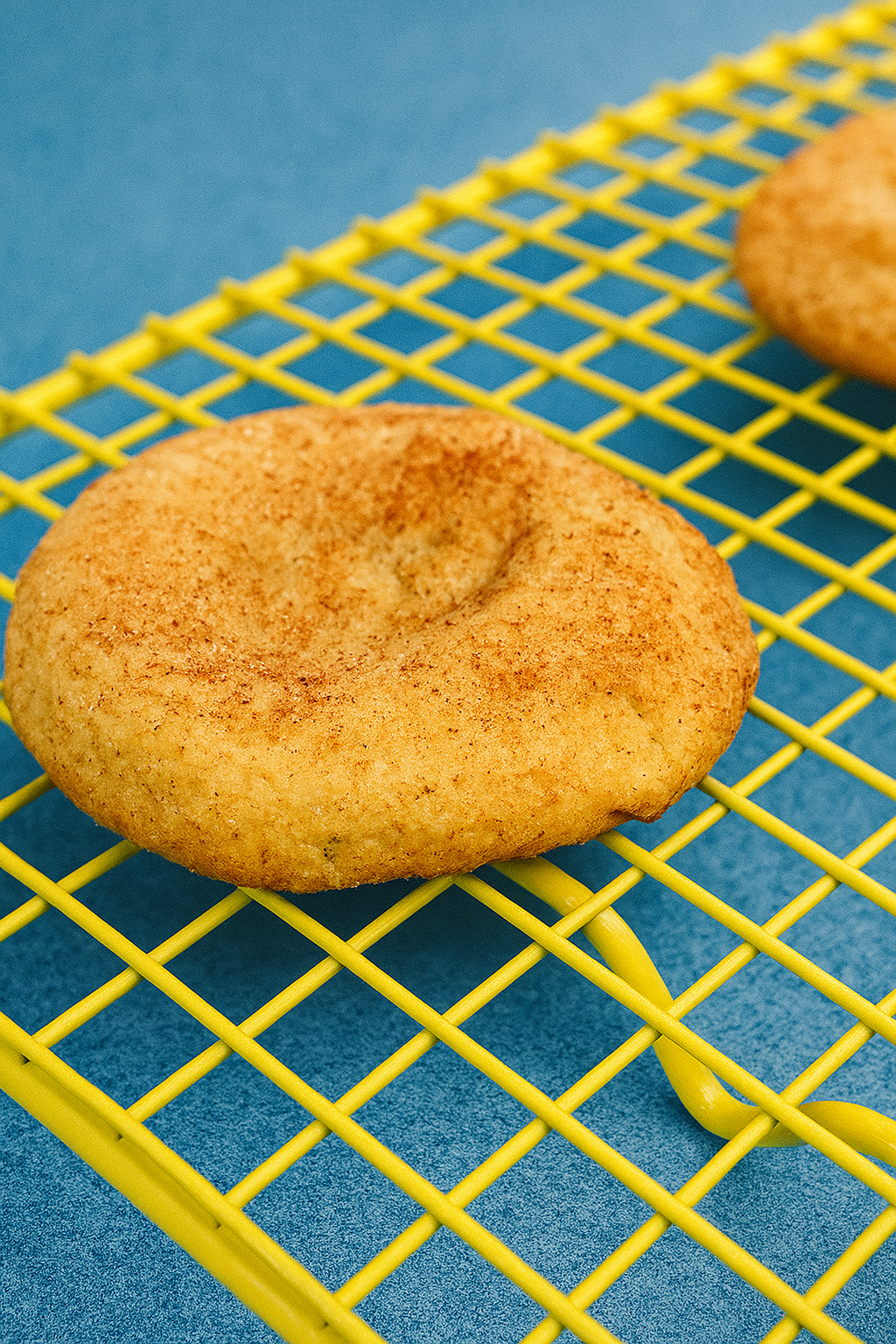 Snickerdoodle