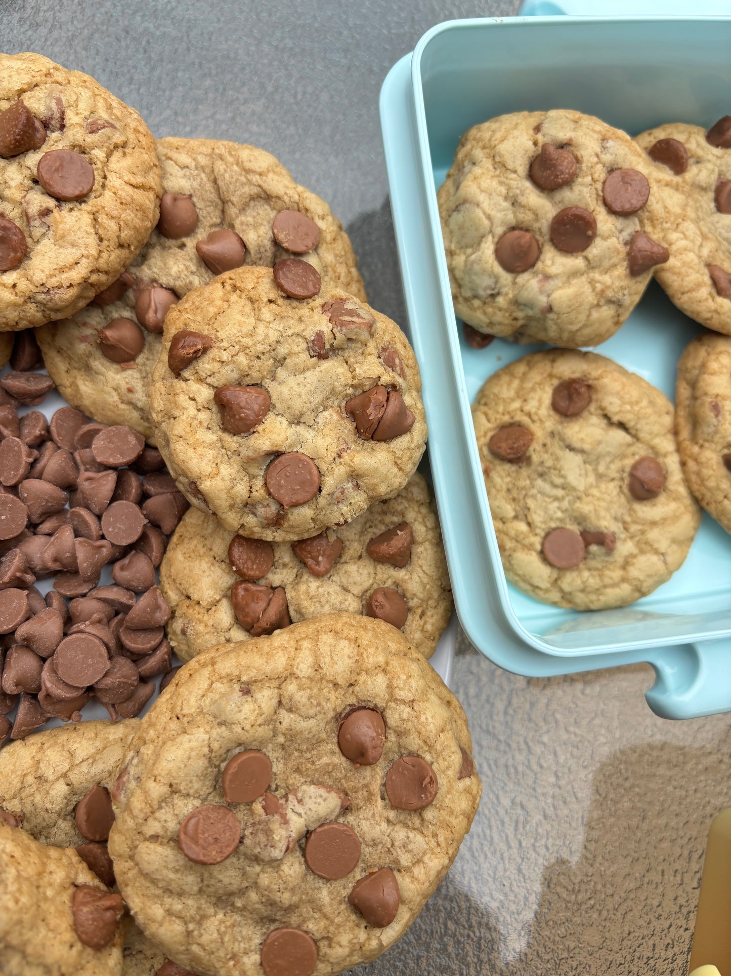 Chocolate Chip